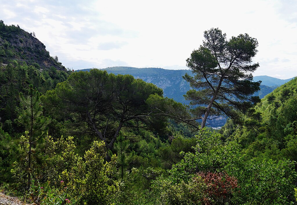 Cheminée Alpes-Maritimes