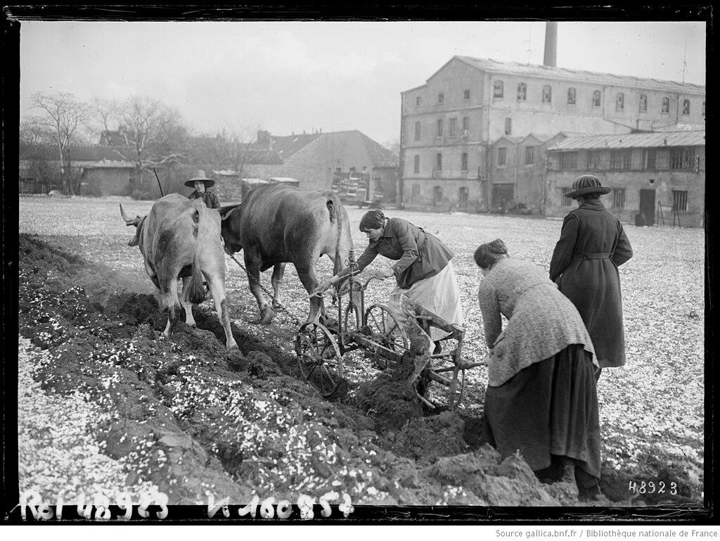Cheminée Val-de-Marne