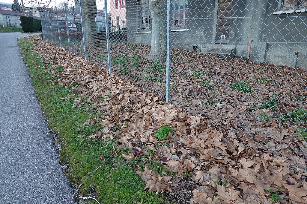 Cheminée Bellegarde-sur-Valserine