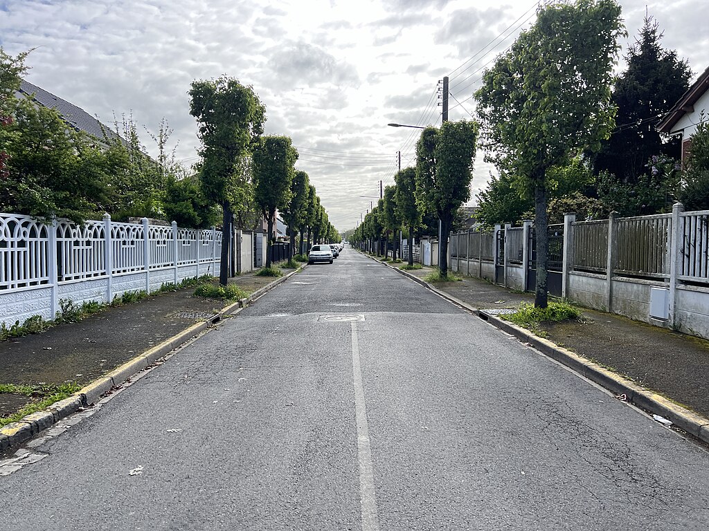 Cheminée Viry-Châtillon