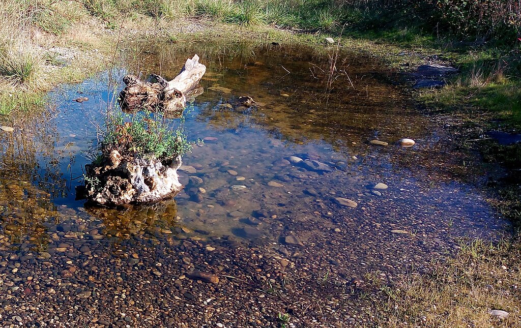 Cheminée Wittenheim