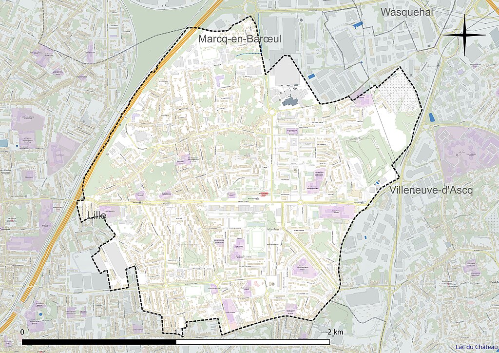 Cheminée Mons-en-Barœul