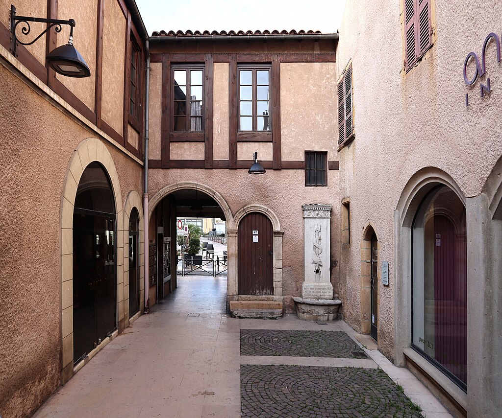 Cheminée Villefranche-sur-Saône