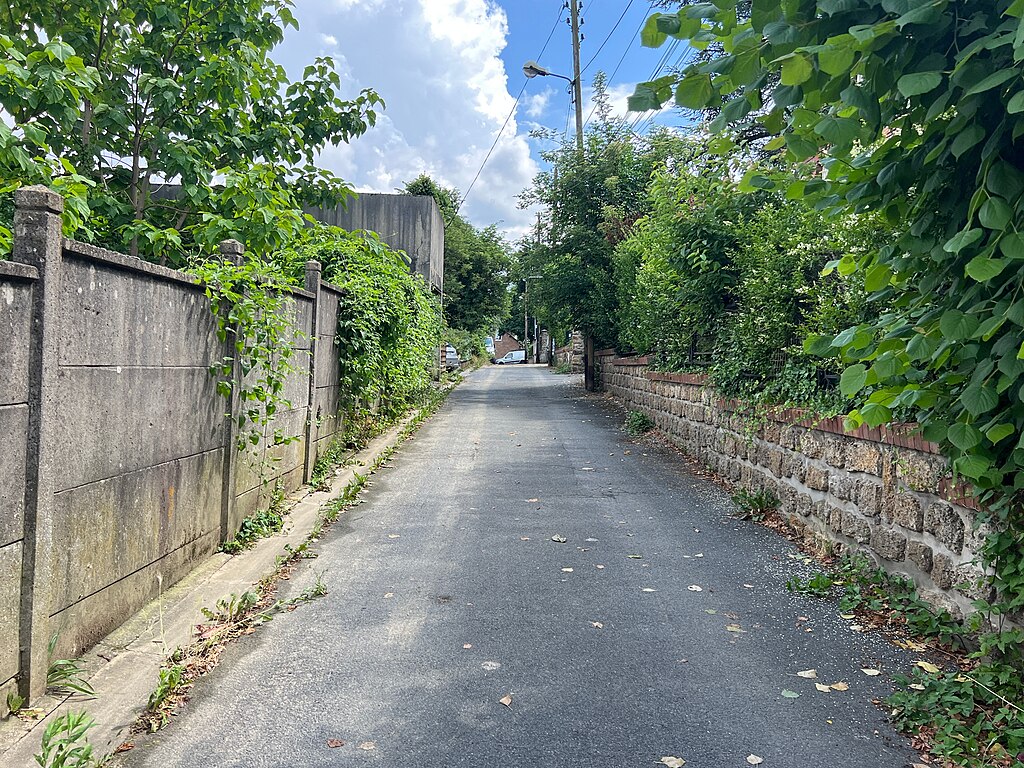 Cheminée Villeneuve-le-Roi